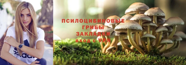 тгк Бронницы