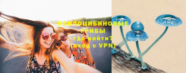 шишки Бородино