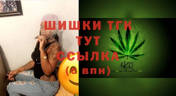 тгк Бронницы
