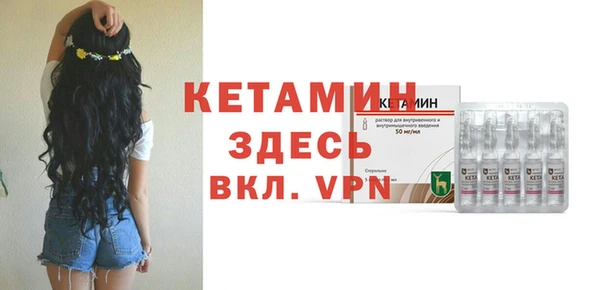 шишки Бородино
