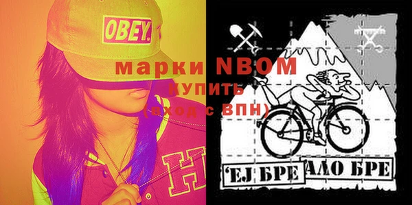 шишки Бородино