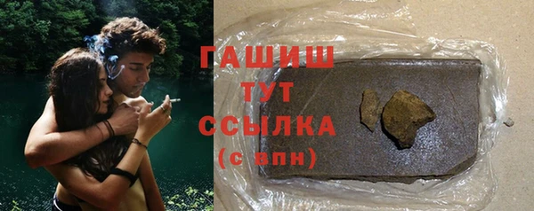 шишки Бородино