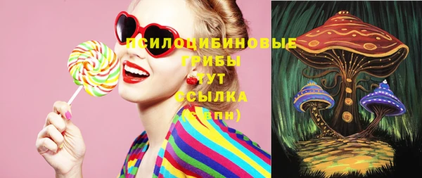 тгк Бронницы