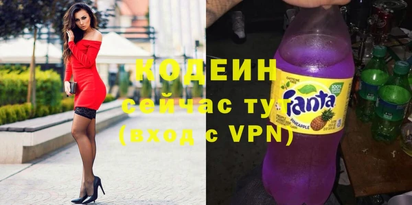 шишки Бородино