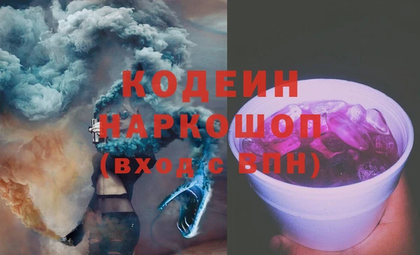шишки Бородино