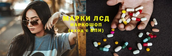 шишки Бородино