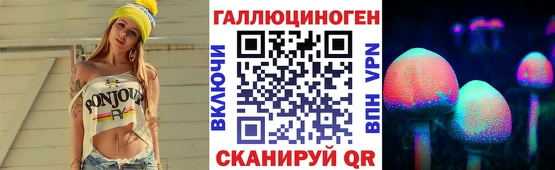 Псилоцибиновые грибы Psilocybine cubensis  Мурманск 